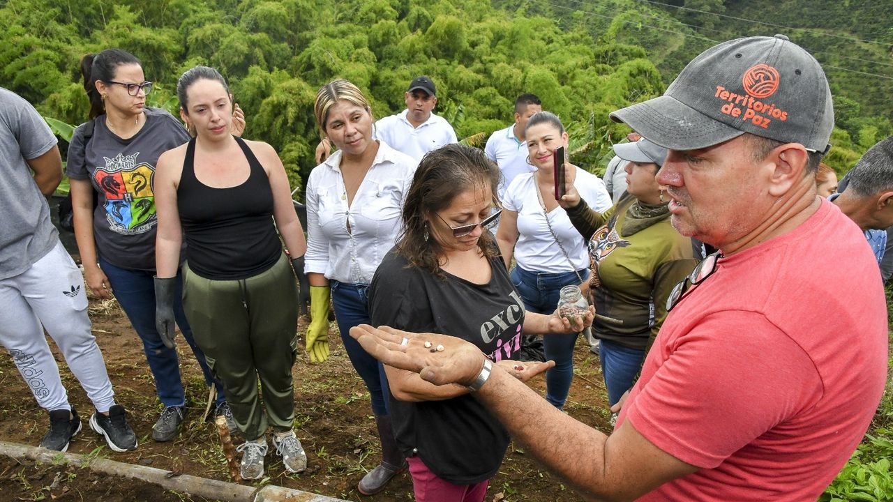 Con la preparación del terreno, la transformación del campo en Dosquebradas empieza a dar frutos
